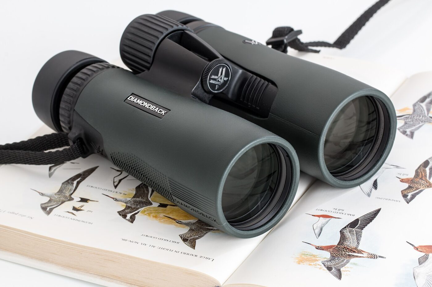 Roof prism binoculars lying on an open bird identification book.