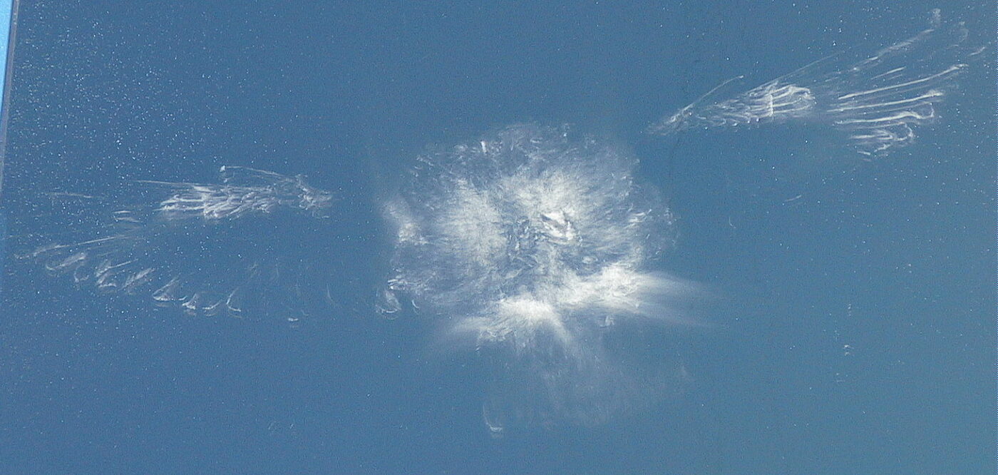 Ghostly white silhouette of a bird's body and wings left on a window after a collision.