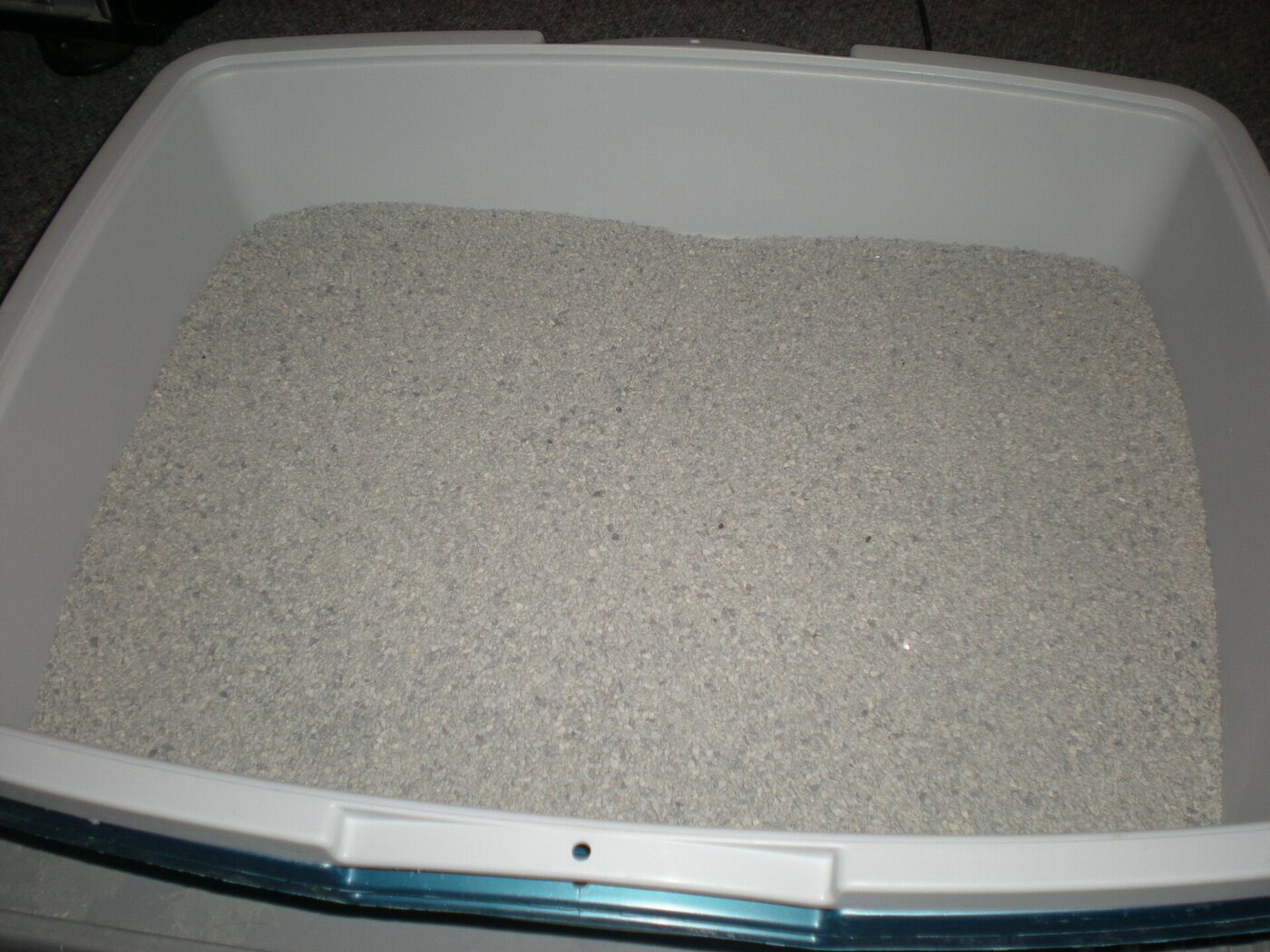 Fresh clumping litter in a tray.