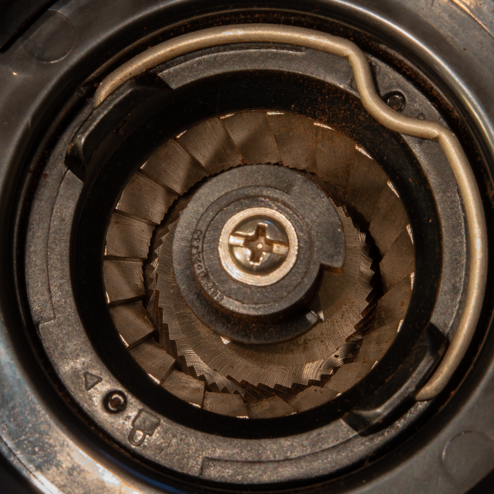 Overhead view into an open electric coffee grinder, showing its conical burr wheel inside a circular housing with an adjustment dial at the edge.