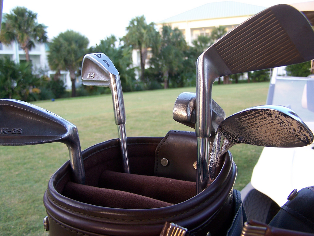 Golf clubs in a bag.