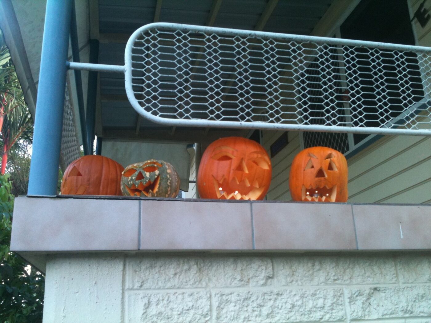 Carved jack-o’-lanterns lined up outside a house.