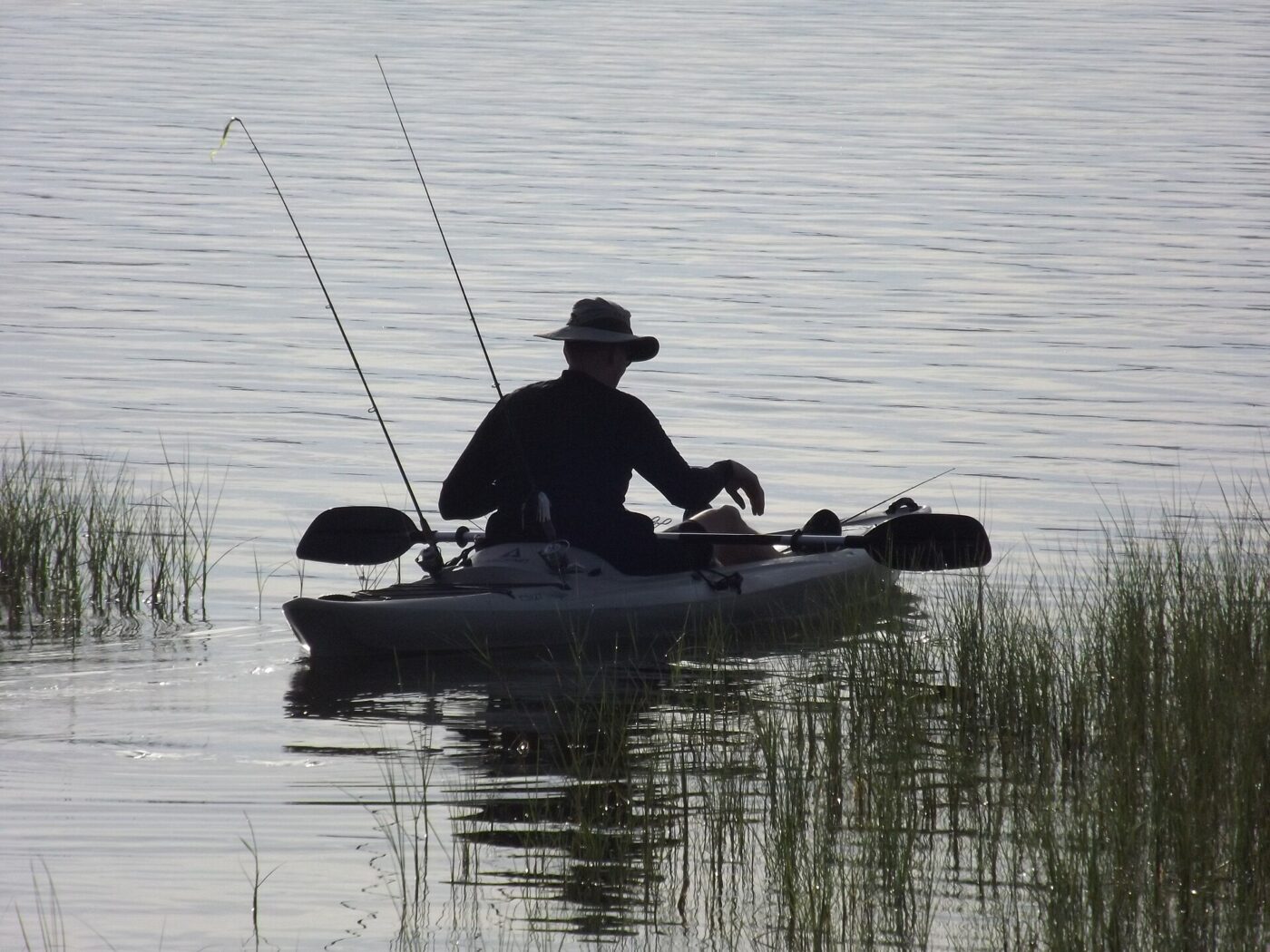 A silhouetted angler sits in a fishing kayak, casting a line near tall reeds.