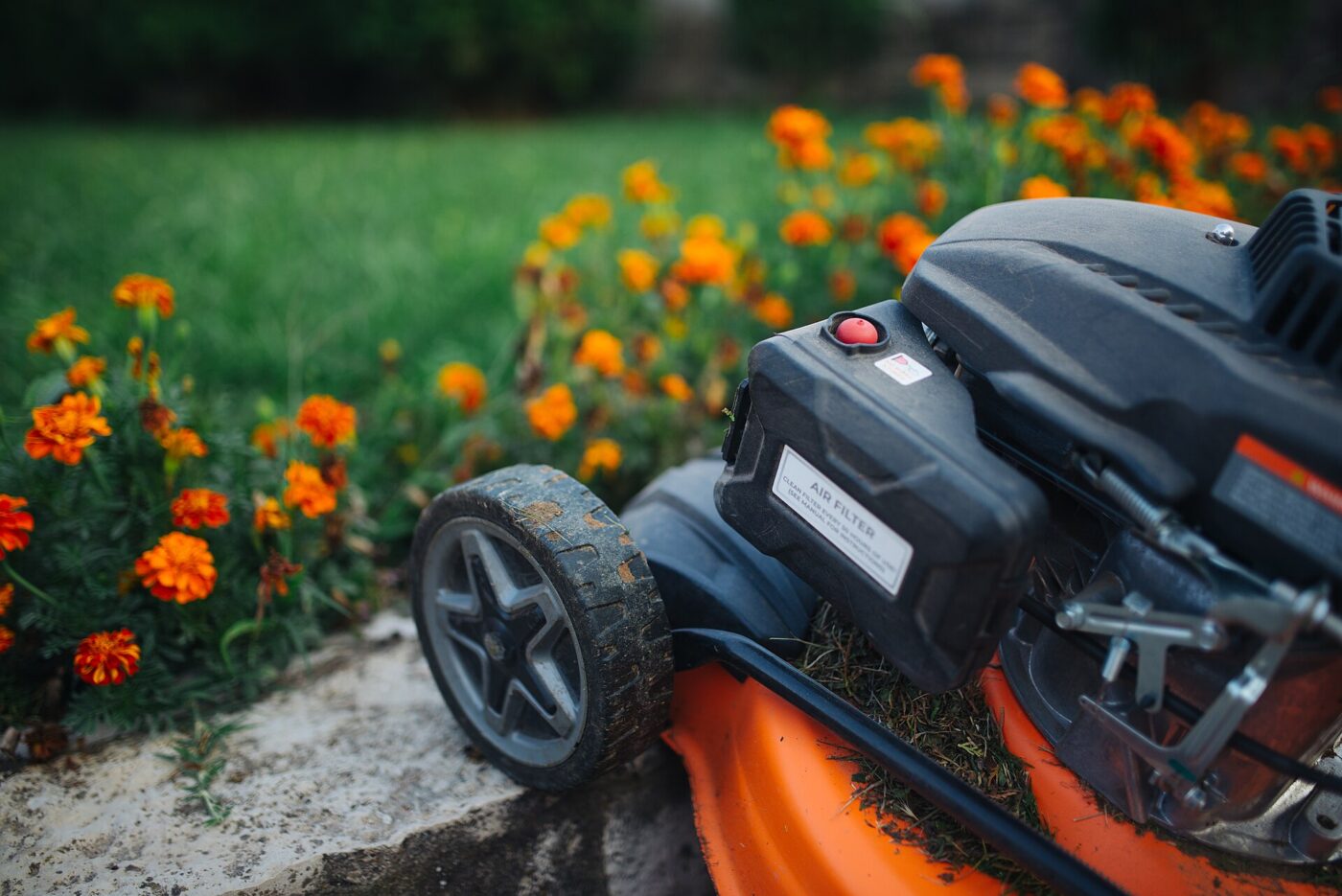 Close up of a lawn mower deck, with flowers in the background.