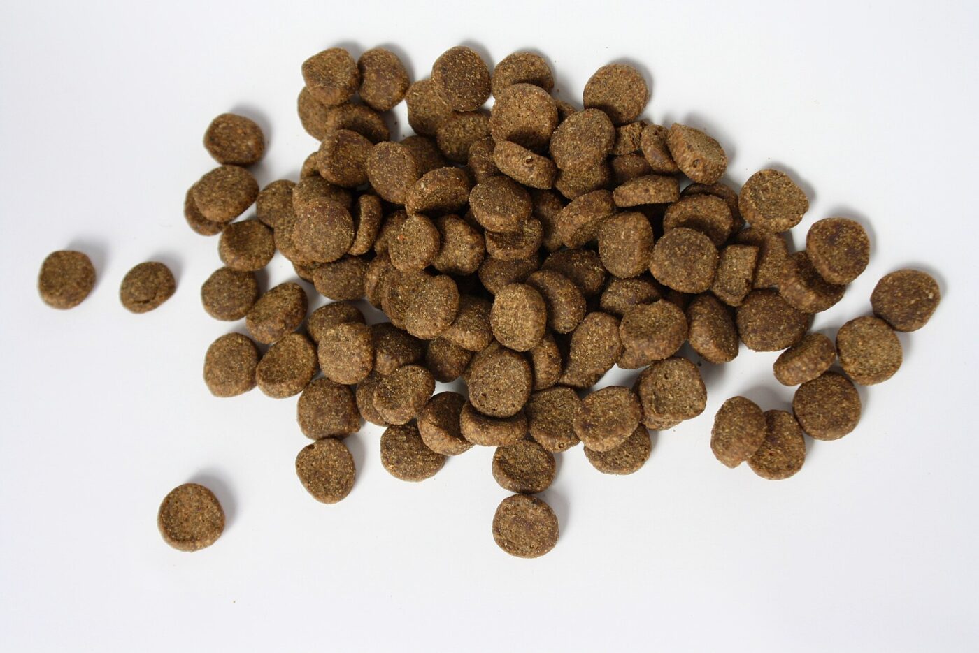 A pile of dry kibble, the usual payload of a treat-tossing pet camera.