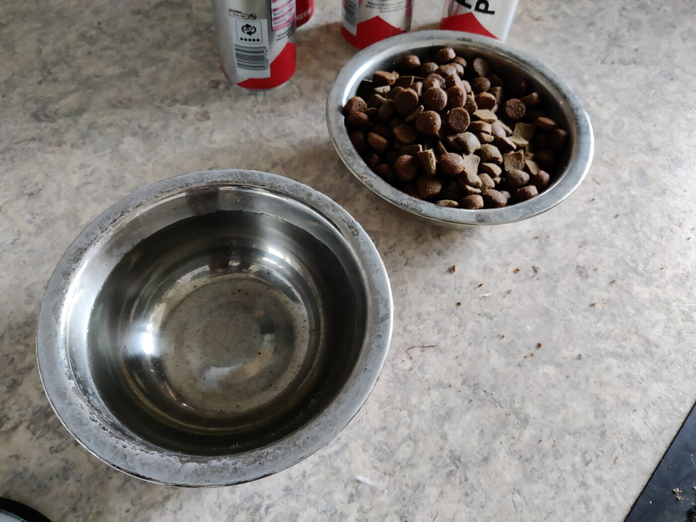 Food and water bowls set out for a dog left at home.