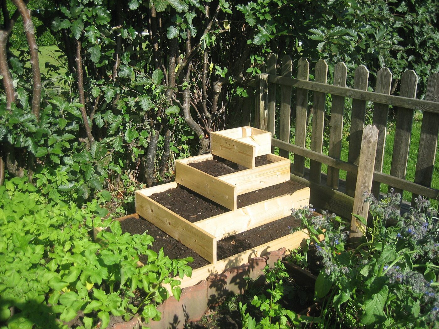 A stepped raised bed built from timber boards.