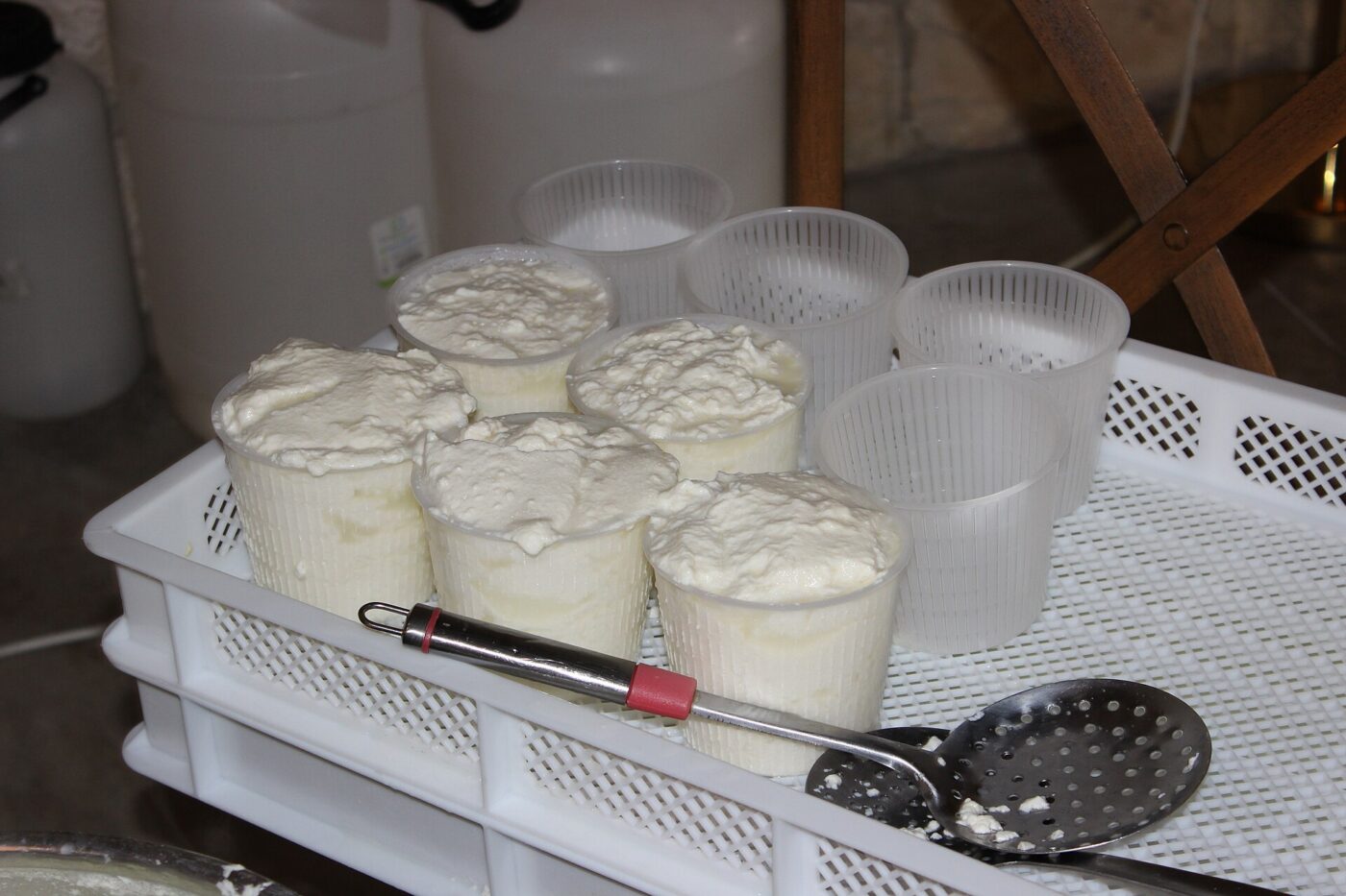 Cups of freshly made ricotta cheese draining in a tray with a spoon.