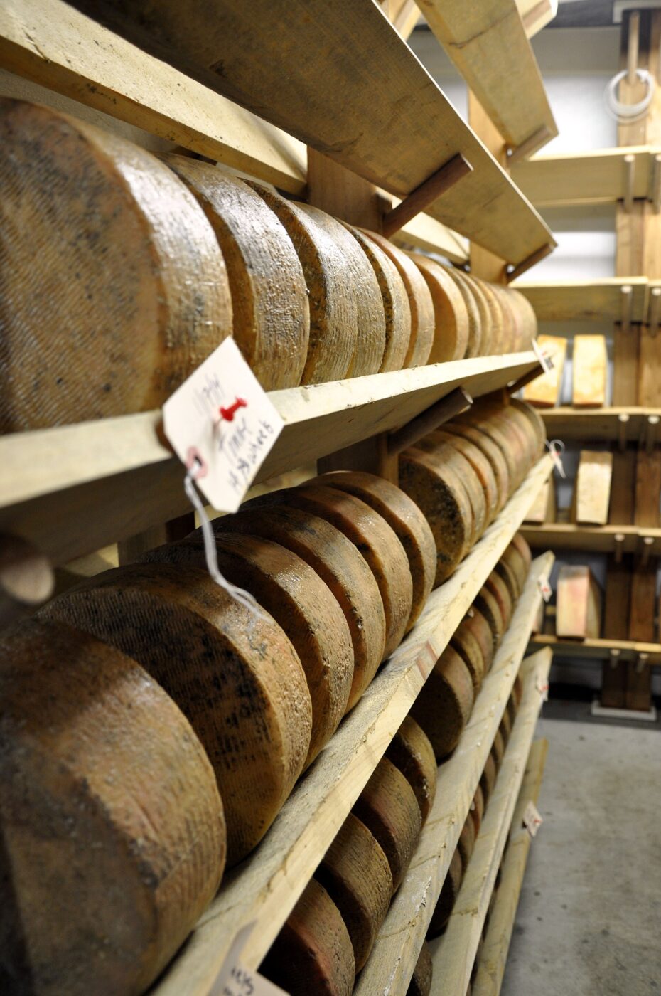 Long cellar aisle lined with wooden shelves holding wheels of cheese.