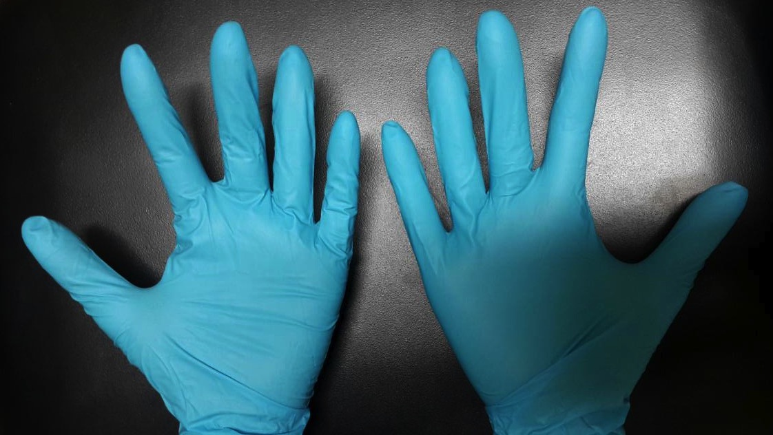 Two hands, palm and back view, wearing blue disposable nitrile gloves against a plain gray background.