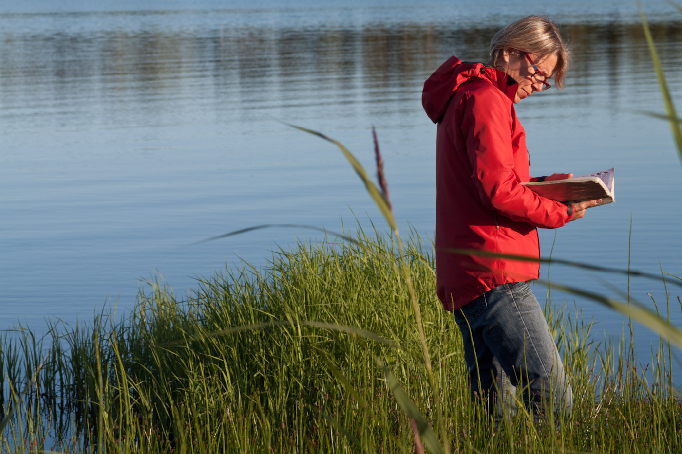 A walker in a red rain jacket among lakeside grasses.